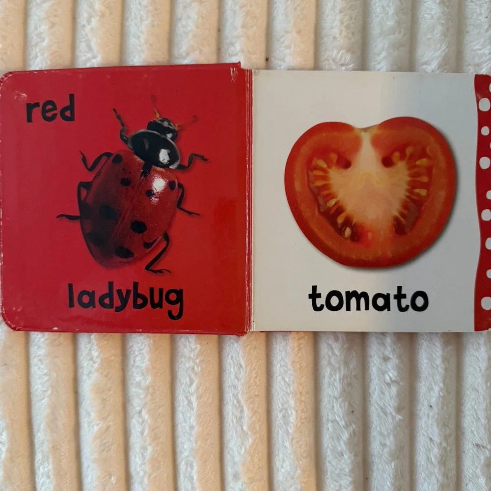 Busy Baby Dotty Colors - Board‎ book By Bicknell, Joanna - VERY GOOD